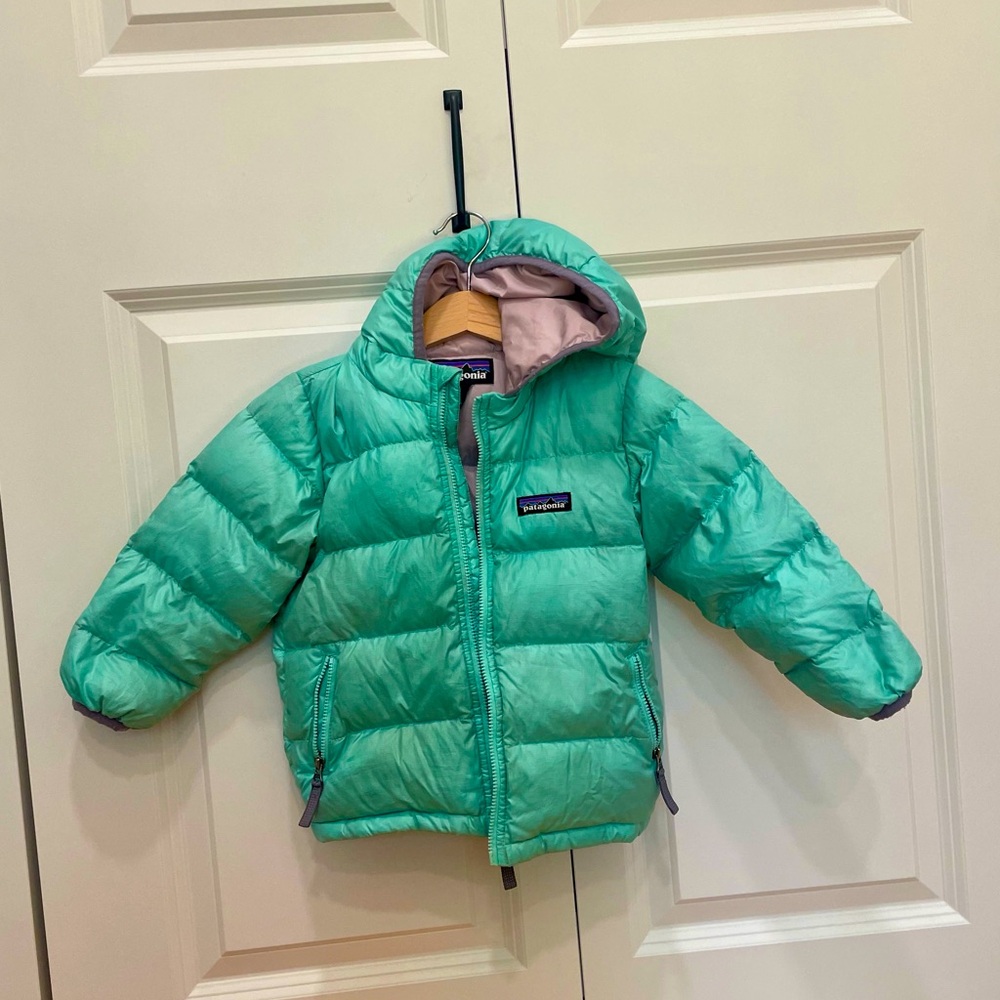 Patagonia Baby Hi-Loft Down Hoody
